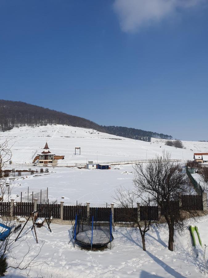 Apartament La Casa In Curte Comuna Apartman Feketehalom Kültér fotó